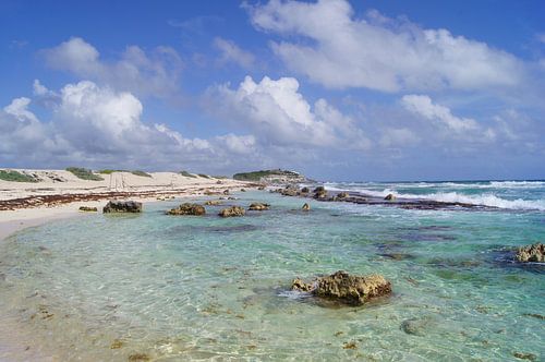 Met de voeten in het water