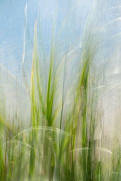 Long exposure bewogen groen gras aan de waterkant, lange belichting. van Christa Stroo fotografie