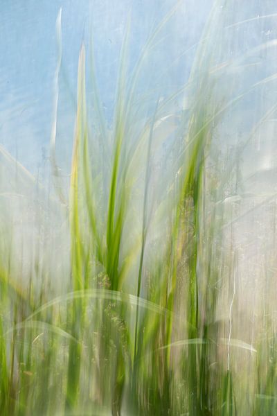 Moved green grass at the water's edge, long exposure. by Christa Stroo photography