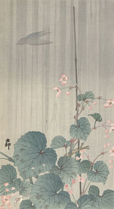 Begonie im Regen von Ohara Koson