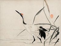 Traditioneel portret van een elegante Japanse kraanvogel door Mochizuki Gyokusen