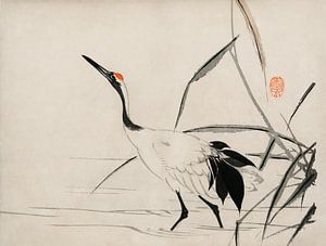 Traditioneel portret van een elegante Japanse kraanvogel door Mochizuki Gyokusen van Studio POPPY