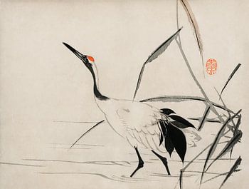 Portrait traditionnel d'une élégante grue japonaise par Mochizuki Gyokusen
