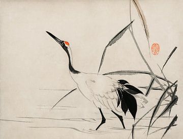 Traditional portrait of an elegant Japanese crane by Mochizuki Gyokusen by Studio POPPY