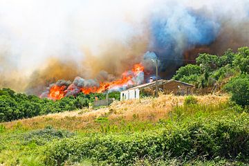 Enorme bosbrand bedreigt huizen in Portugal van Eye on You