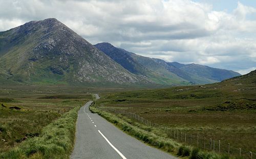 Groen eiland Ierland