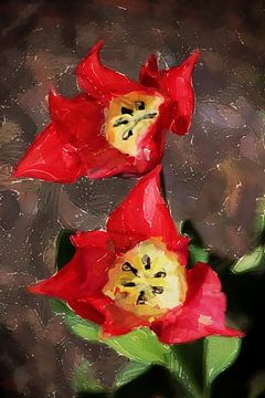 Rode tulpen Impressionistisch van Petra Dreiling-Schewe