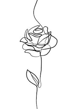 Rose Line Drawing by Cats & Dotz