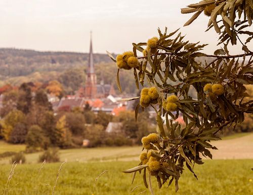 Kastanjetijd in Vaals 