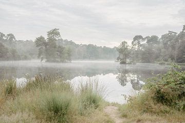 Mist over een ven. Oisterwijk. Brabant in Nederland. van Alie Ekkelenkamp