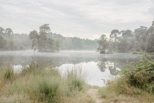 Oisterwijk. Mist over een ven. Brabant in Nederland.