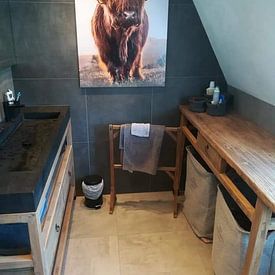 Customer photo: Scottish Highlander by Karel Ton