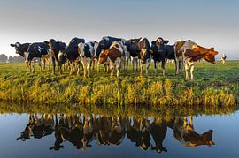 Hey Ladies! by Martijn van der Nat