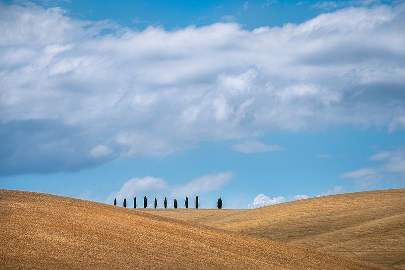 Tuscan hills by Pieter Poot