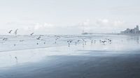 Het Scheveningse strand van Marian Sintemaartensdijk thumbnail