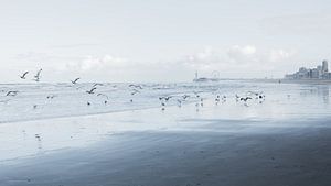 Der Strand von Scheveningen von Marian Sintemaartensdijk