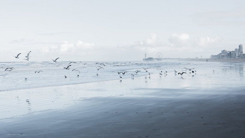 Het Scheveningse strand van Marian Sintemaartensdijk