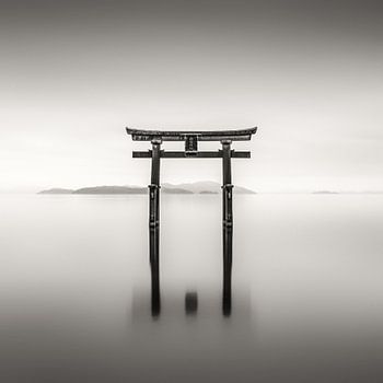 Torii (鳥居)  #1