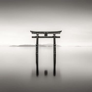Torii (鳥居)  #1 von juhwie.photography