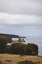 Cliffs of Maria Island: Spectacular Views by Ken Tempelers thumbnail