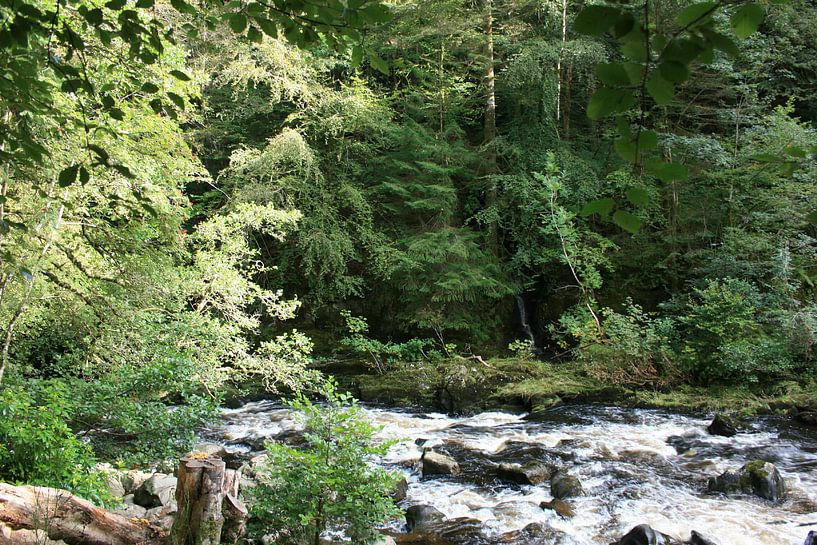 The Hermitage, Dunkeld, Scotland 4 by Floortje Mink