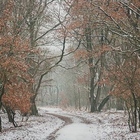 Sneeuw in het Speulderbos van Nancy van Verseveld