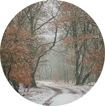 Sneeuw in het Speulderbos van Nancy van Verseveld