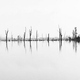 Reflectie van bomen in de Biesbosch zwart-wit van Michel de Beer