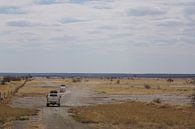 Op weg naar de Makgadikgadi zoutpannen van Job Moerland thumbnail