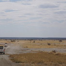 On the way to the Makgadikgadi salt marshes by Job Moerland