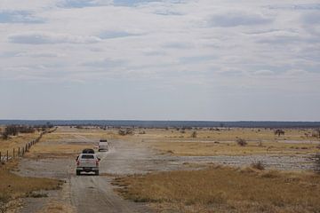 On the way to the Makgadikgadi salt marshes