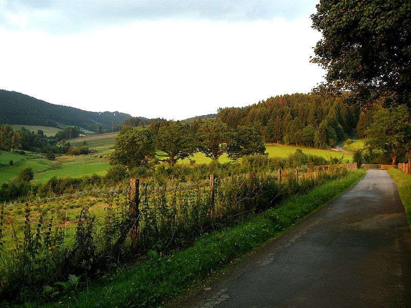 De weg naar...... by Desiree Barents