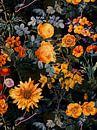 Mitternachts Sommer Rosen Garten von Floral Abstractions Miniaturansicht