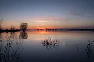 Sonnenuntergang bei Pfütze von Moetwil en van Dijk - Fotografie