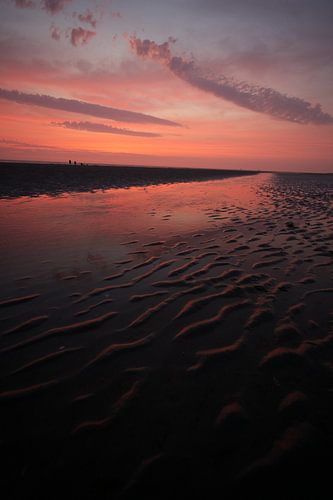 Morning calm and colour by the sea on the mudflats
