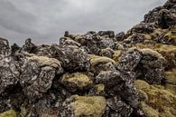 Fiskbyrgi, lava steen in IJsland van Chris Snoek thumbnail