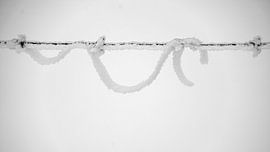 Schneegirlande am Zaun von Flatfield