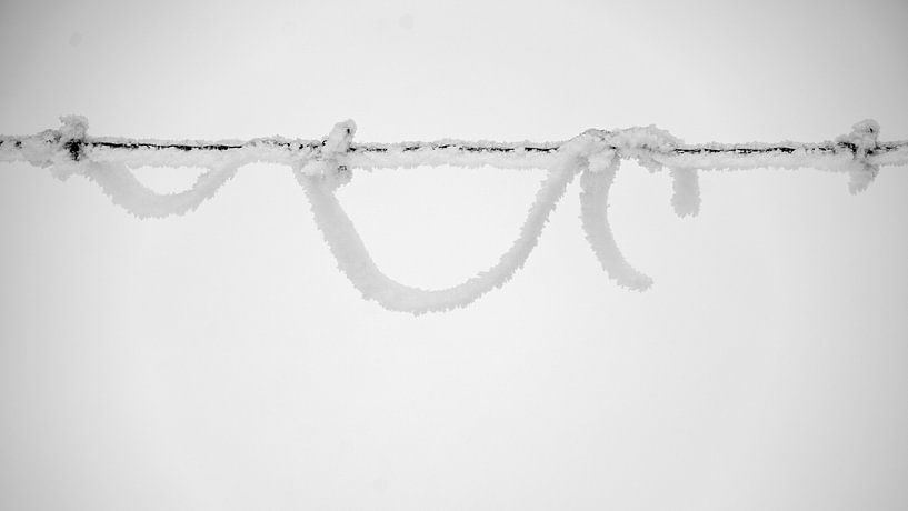 Snow garland on the fence by Flatfield
