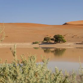 Reflections in the desert | Sossusvlei, Namibia by Tine Depré
