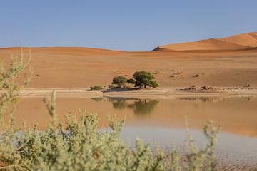 Reflecties in de woestijn | Sossusvlei, Namibië van Tine Depré