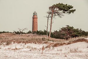 Leuchtturm am Darss