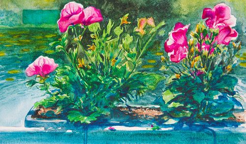Balkonplanten von KEZA STUDIO