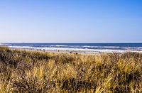 Kijkduin beach from the dunes