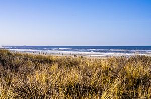 Kijkduin Strand von den Dünen