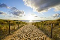 Duin, strand en zee