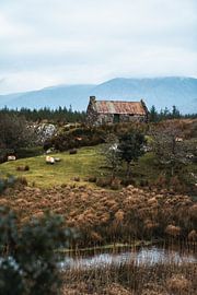Intérieur idyllique Irlande | Vertical