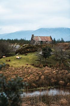 Intérieur idyllique Irlande | Vertical