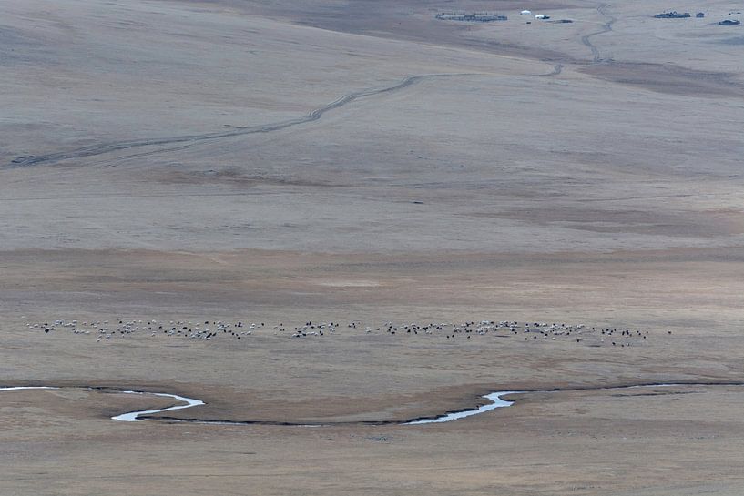 Uitgestrekt landschap rivier en yaks Mongolië van Nanda Bussers