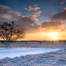 Winterse zonsopkomst op het Balloerveld van Marc van der Duin