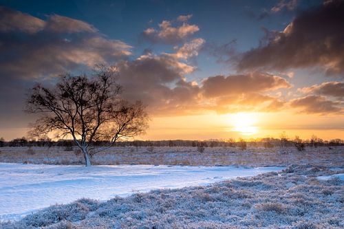 Winterlicher Sonnenaufgang auf dem Balloerveld